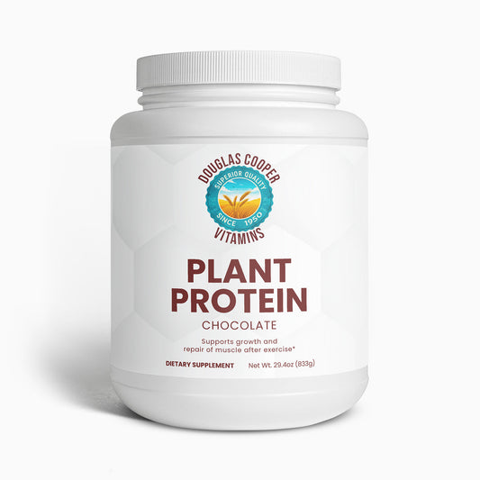 Plant Protein (Chocolate)
