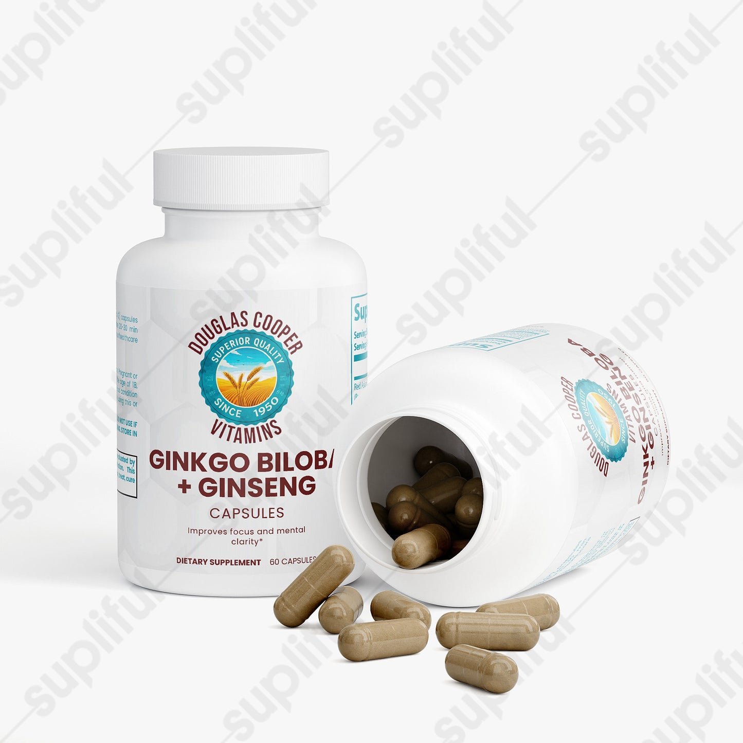 Ginkgo Biloba + Ginseng