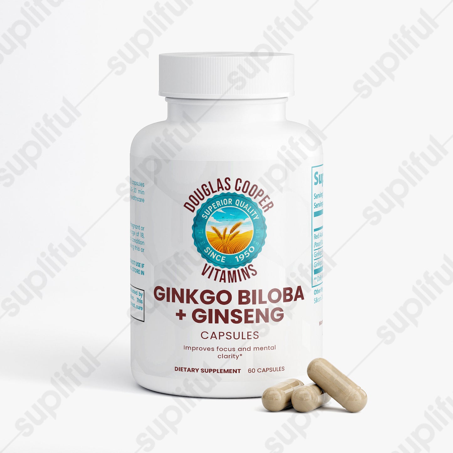 Ginkgo Biloba + Ginseng